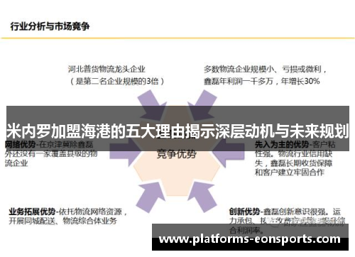 米内罗加盟海港的五大理由揭示深层动机与未来规划