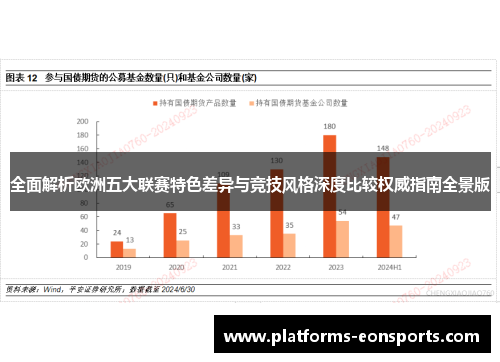 全面解析欧洲五大联赛特色差异与竞技风格深度比较权威指南全景版